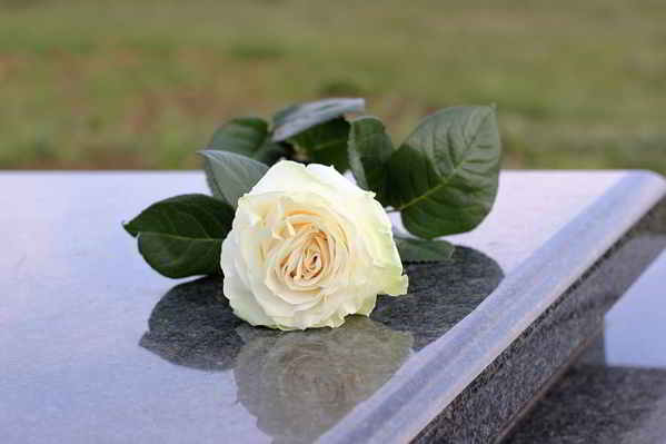 Hoa hồng thường được sử dụng song song cùng với hoa cúc trắng trong tang lễ